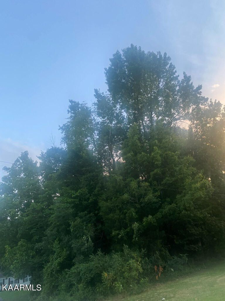 00 Hill Crest Dr, Etowah, TN 37331