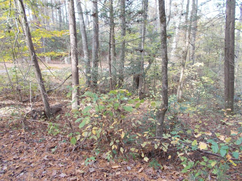 00 Holly Ln, Sevierville, TN 37876