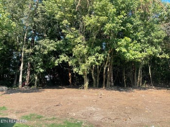 00 Knox St, Philadelphia, TN 37846