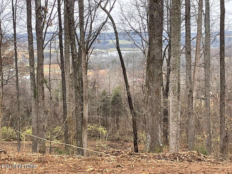 00 Lot 10 Poplar Dr, Sweetwater, TN 37874