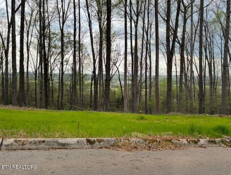 00 Lot 10 Poplar Dr, Sweetwater, TN 37874