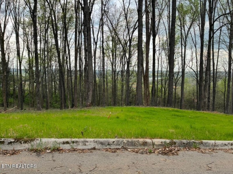 00 Lot 10 Poplar Dr, Sweetwater, TN 37874