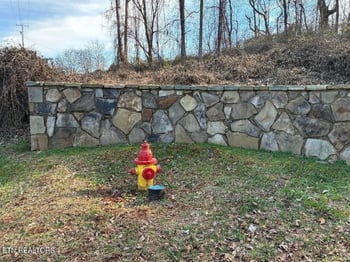 00 Lot 10 Poplar Dr, Sweetwater, TN 37874