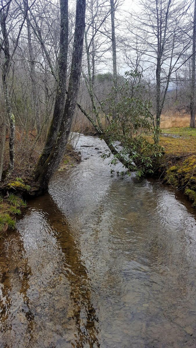 00 Lower Smithfield Rd, Tellico Plains, TN 37385