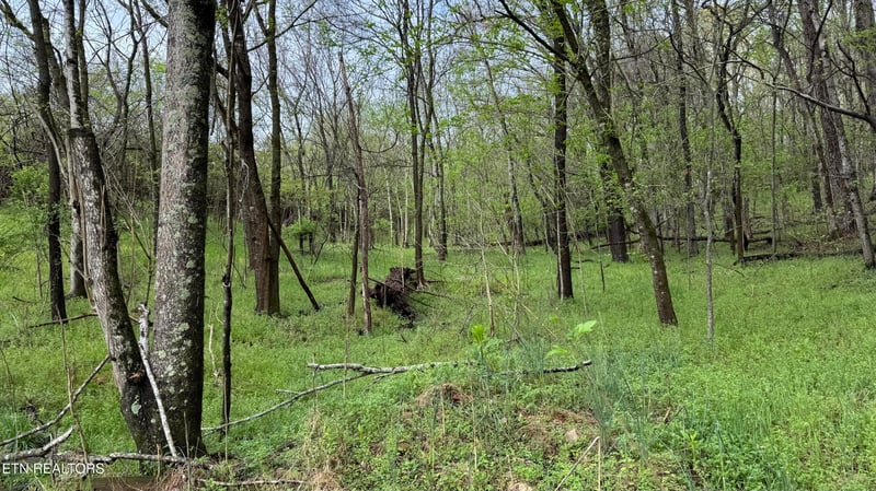 00 Mary Ln, Rutledge, TN 37861