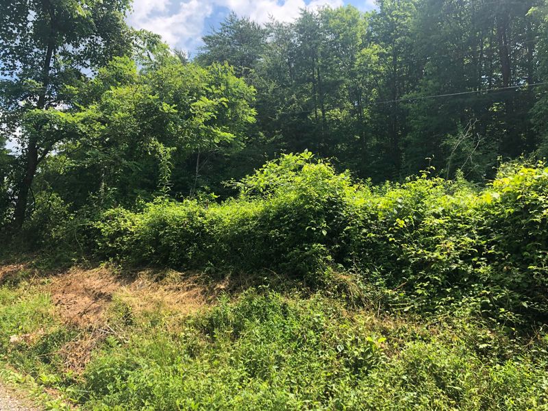 00 Mountain Loop, Thorn Hill, TN 37881