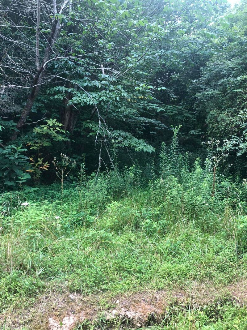 00 Mountain Loop, Thorn Hill, TN 37881