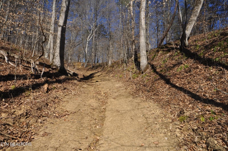 00 Old Tazewell Pike, Luttrell, TN 37779