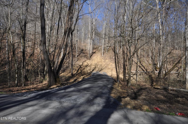 00 Old Tazewell Pike, Luttrell, TN 37779