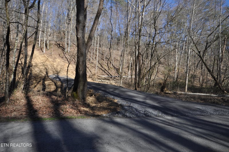 00 Old Tazewell Pike, Luttrell, TN 37779