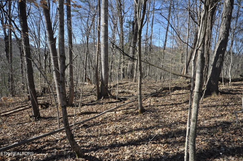 00 Old Tazewell Pike, Luttrell, TN 37779
