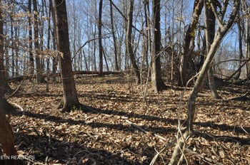 00 Old Tazewell Pike, Luttrell, TN 37779