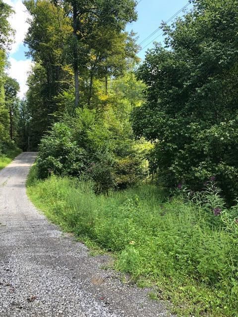 00 Overlook View Rd, Walland, TN 37886