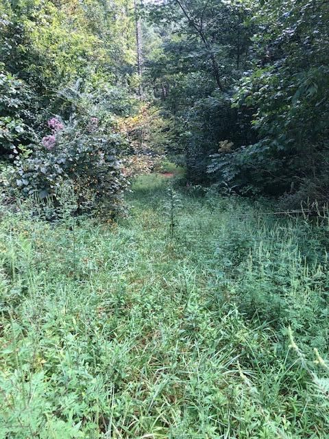 00 Overlook View Rd, Walland, TN 37886