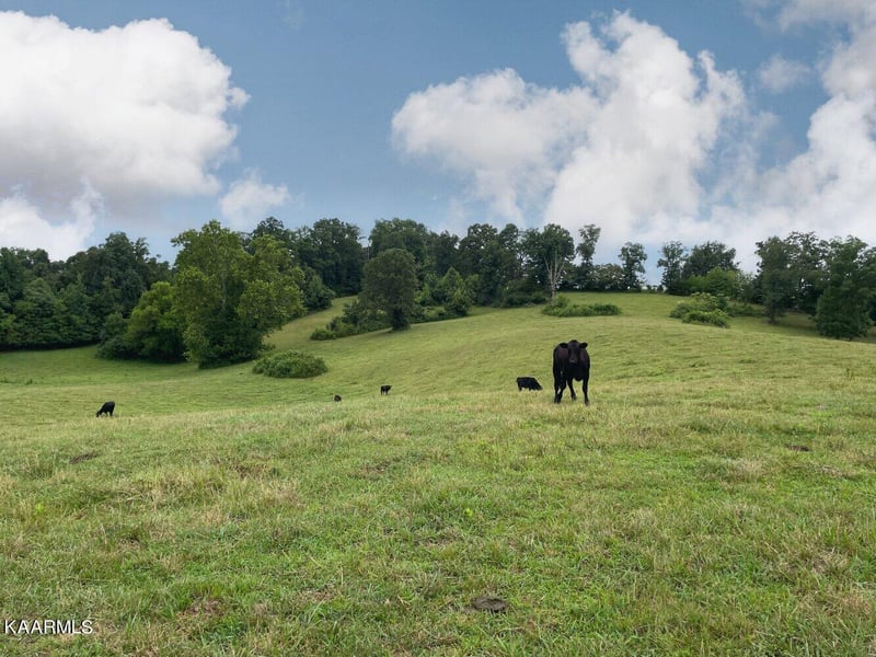 00 Pond Creek Rd, Philadelphia, TN 37846