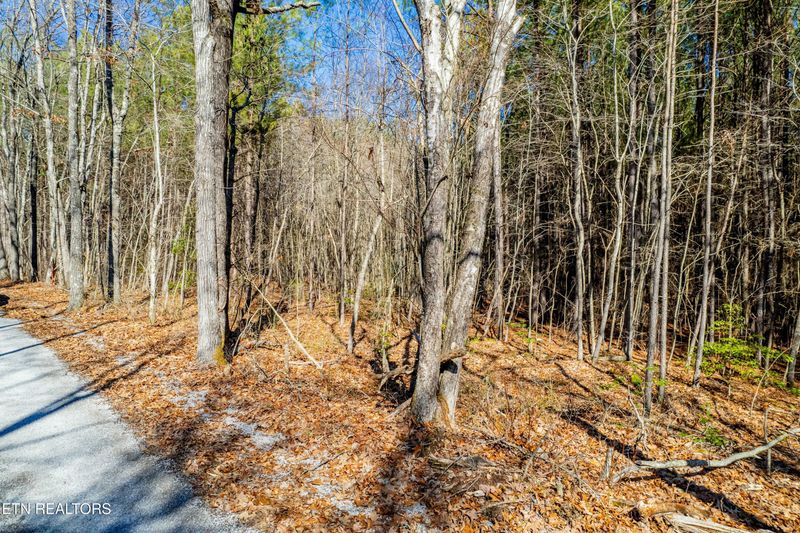 00 Sam Summers Rd, Rockwood, TN 37854