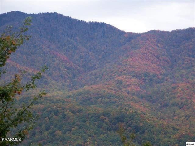 00 Scenic Trl, Gatlinburg, TN 37738