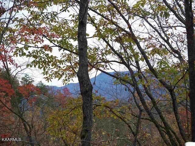 00 Scenic Trl, Gatlinburg, TN 37738