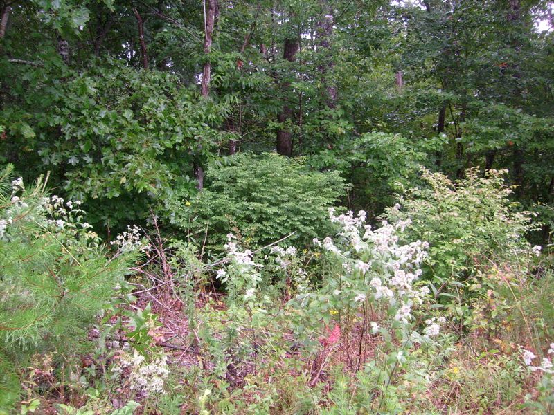 00 Spruce Loop, Crossville, TN 38555