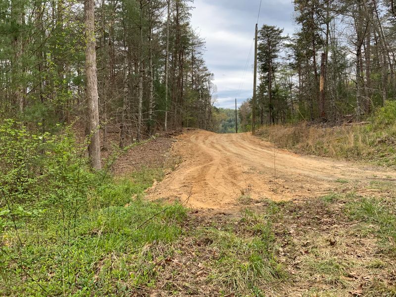 00 Steer Creek Rd, Tellico Plains, TN 37385