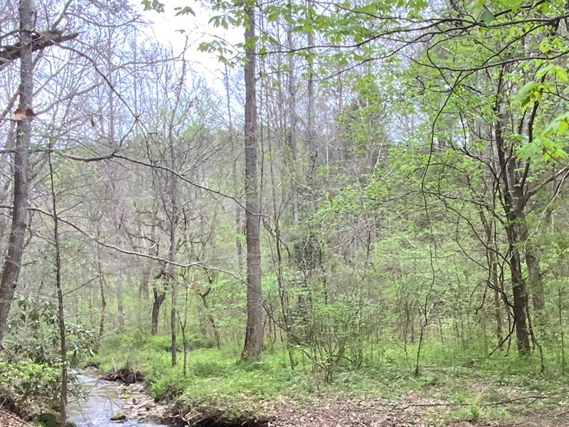 00 Steer Creek Rd, Tellico Plains, TN 37385