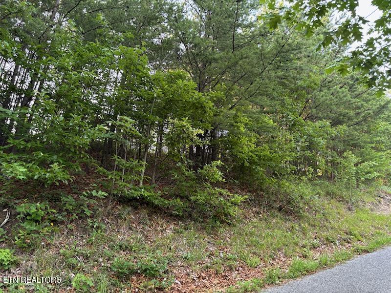 00 Top Rd, Sevierville, TN 37876