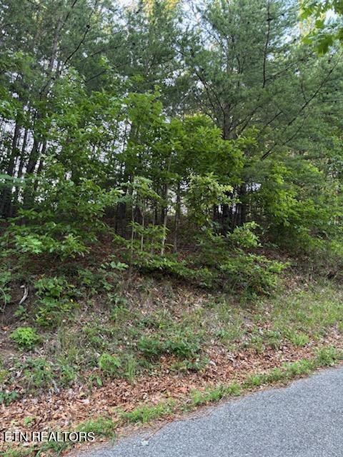 00 Top Rd, Sevierville, TN 37876