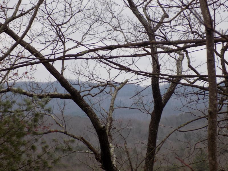 000 Black Mountain Rd, Tellico Plains, TN 37385