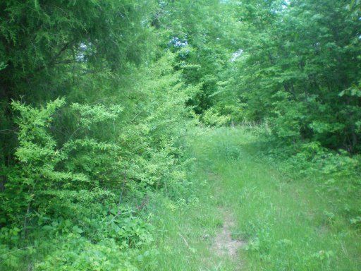 000 Co Rd 226, Niota, TN 37826