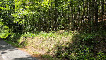 000 County Rd #184, Athens, TN 37303