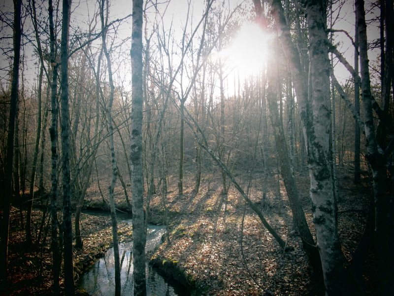 000 County Road 130, Athens, TN 37303