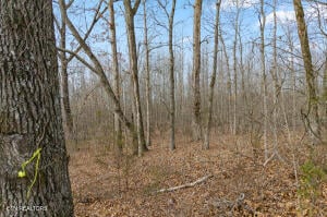 000 County Road 293, Niota, TN 37826
