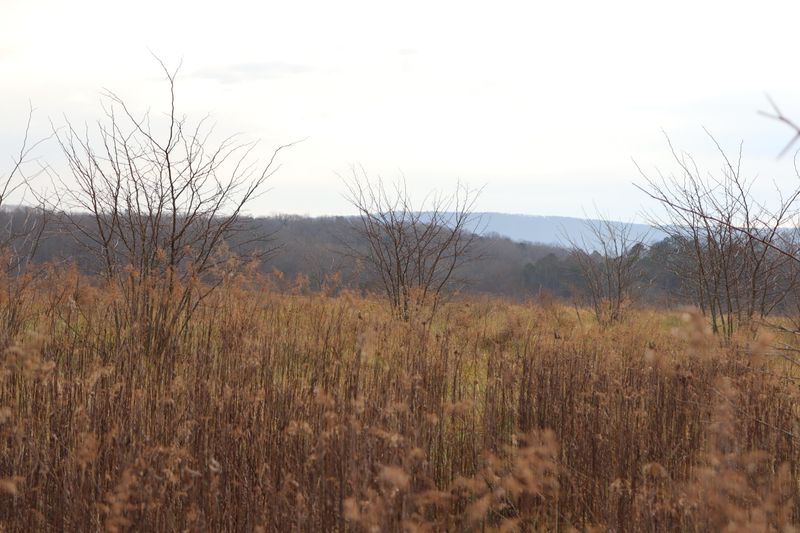 000 County Road 782, Etowah, TN 37331