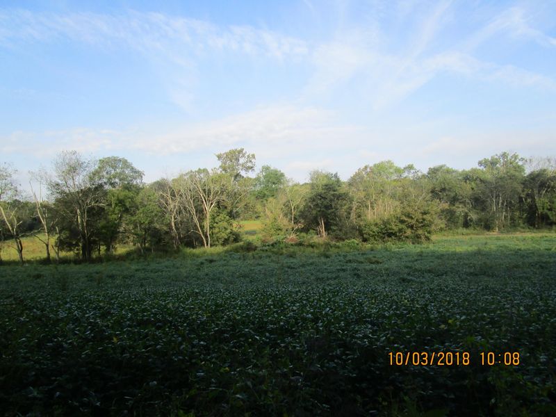 000 County Road 783, Etowah, TN 37331