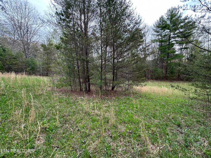 000 Epperson Rd, Tellico Plains, TN 37385