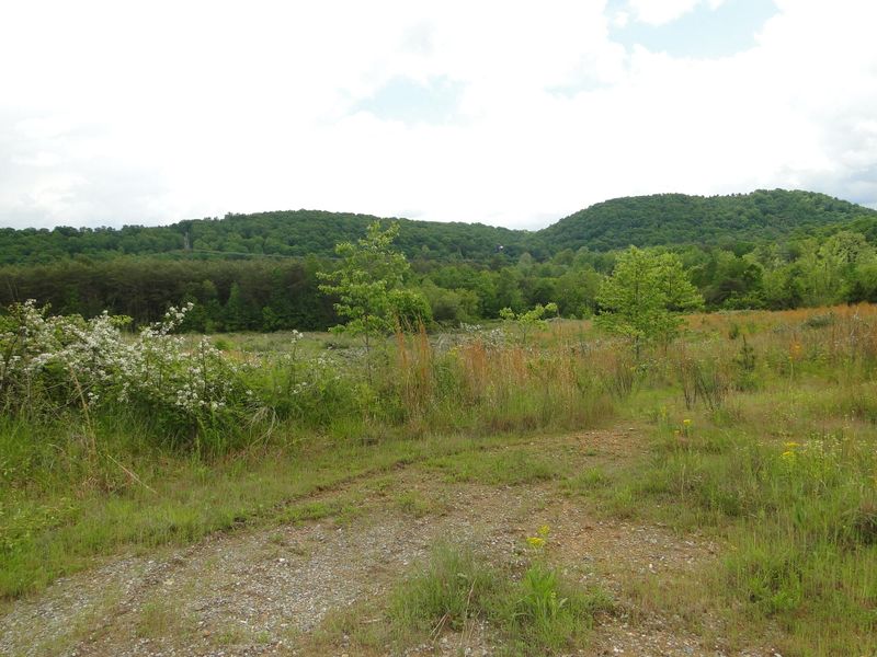 000 Kelsay Rd, Kingston, TN 37763