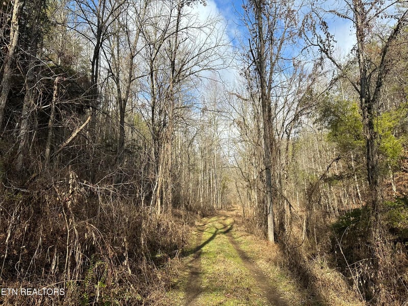 000 Leatherwood Rd, Sevierville, TN 37876