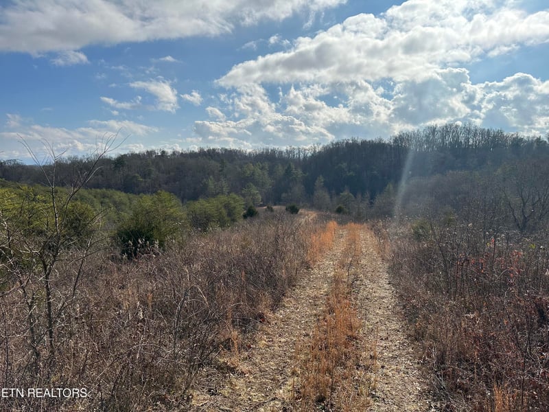 000 Leatherwood Rd, Sevierville, TN 37876