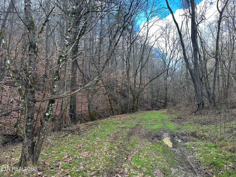 000 Leatherwood Rd, Sevierville, TN 37876