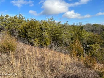 000 Leatherwood Rd, Sevierville, TN 37876