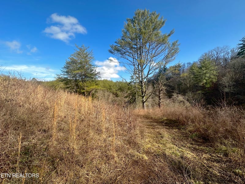 000 Leatherwood Rd, Sevierville, TN 37876