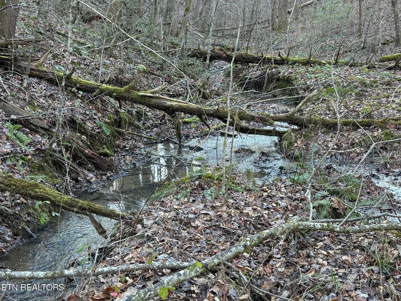 000 Mt Pleasant Rd, Vonore, TN 37885