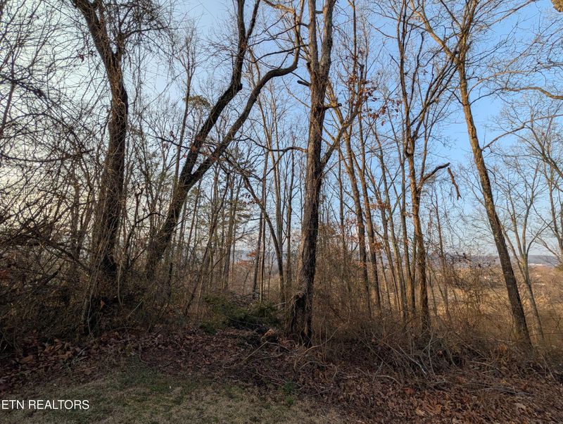 000 Pine Breeze Cir, Rockwood, TN 37854