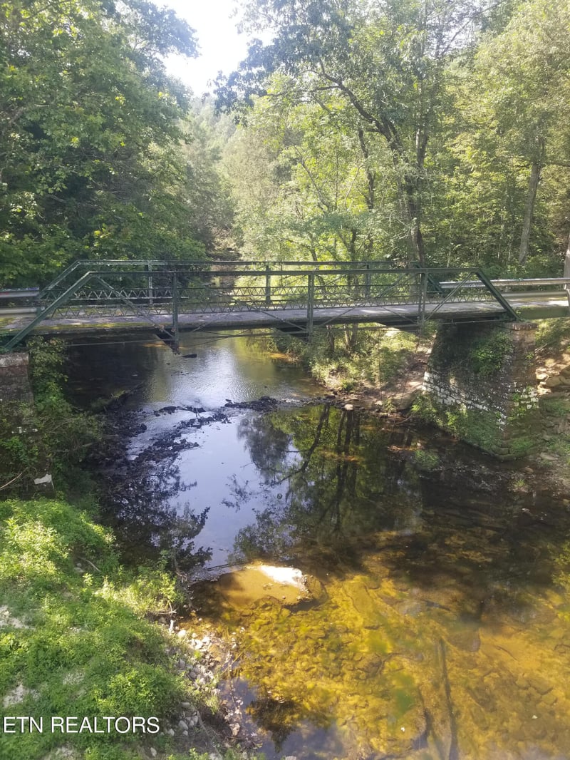 000 Reid Watson Rd, Deer Lodge, TN 37726