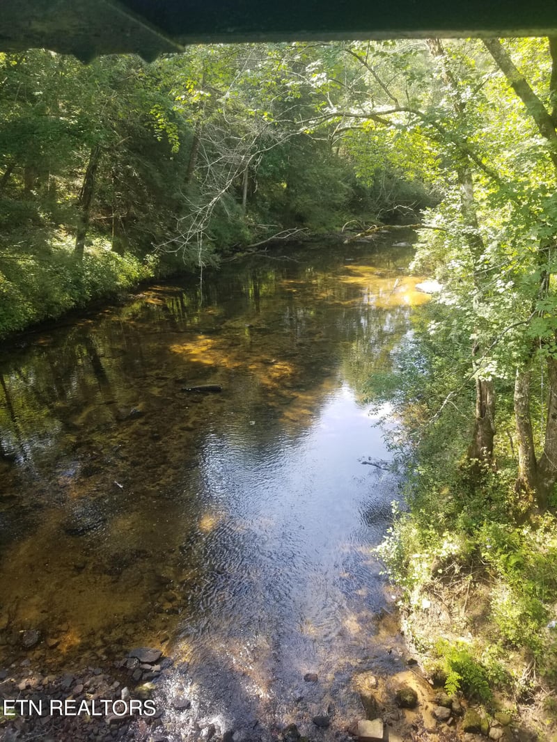 000 Reid Watson Rd, Deer Lodge, TN 37726