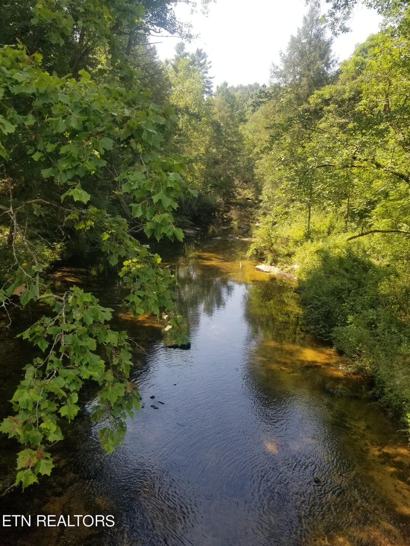 000 Reid Watson Rd, Deer Lodge, TN 37726