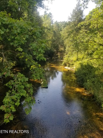 000 Reid Watson Rd, Deer Lodge, TN 37726