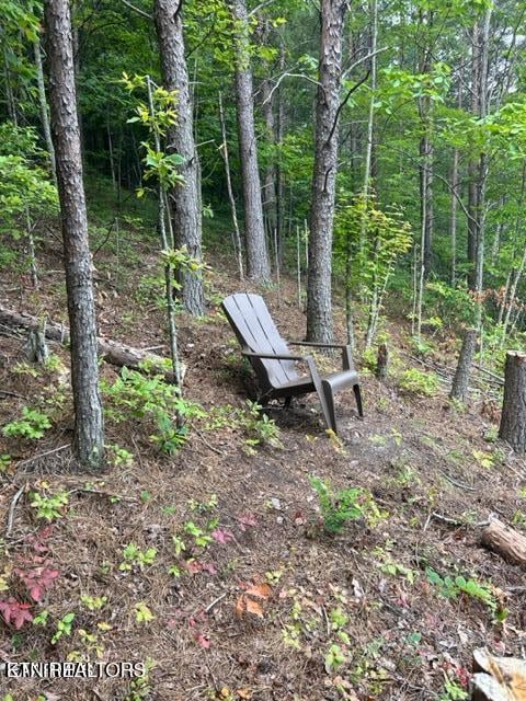 000 Smithfiled Rd, Tellico Plains, TN 37385