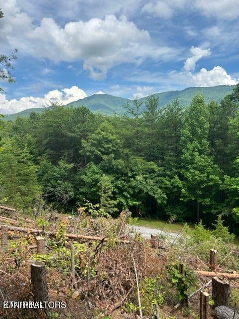 000 Smithfiled Rd, Tellico Plains, TN 37385