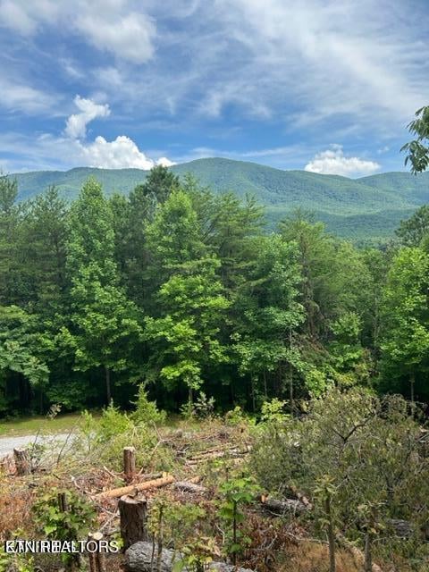 000 Smithfiled Rd, Tellico Plains, TN 37385